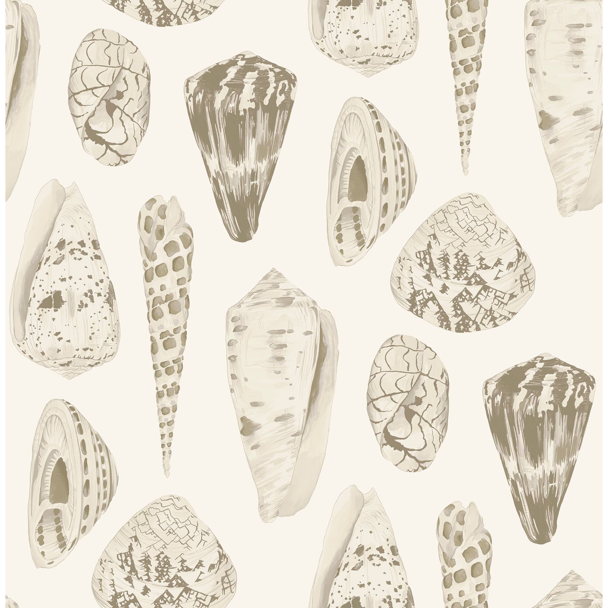 Scalamandre Cream Coquina Peel & Stick Wallpaper